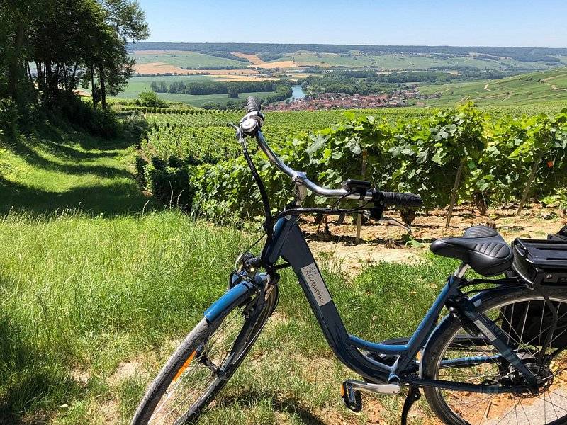 An electric bike parked on the grass above the vines, a valley behind